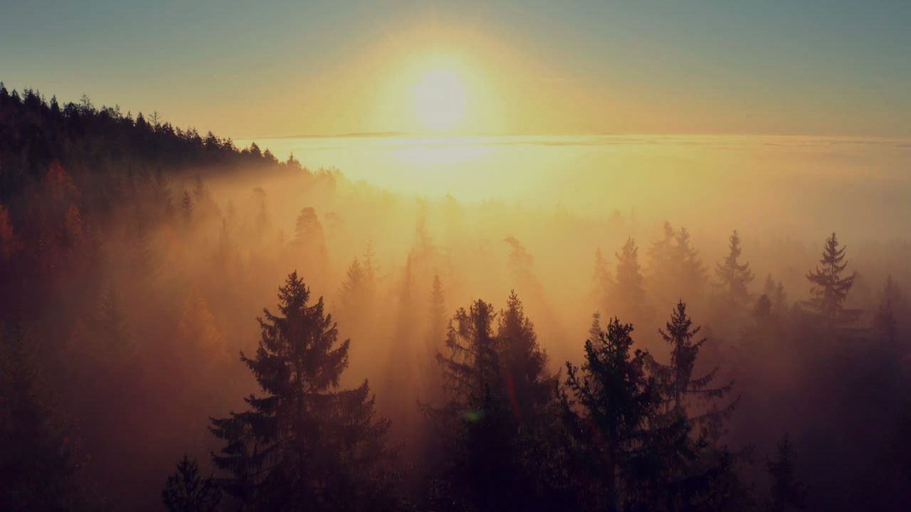 Ten Commandments of Marriage