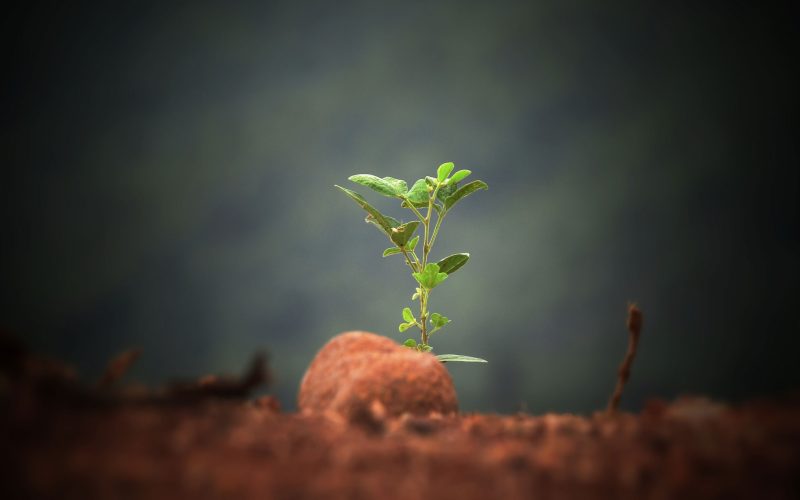 An-Invitation-from-the-Lord-to-Plant-New-Churches