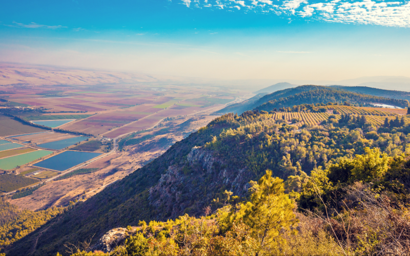 CTTI - Port Thumbnails