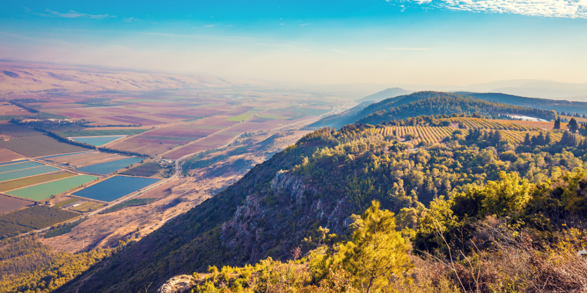 CTTI - Port Thumbnails