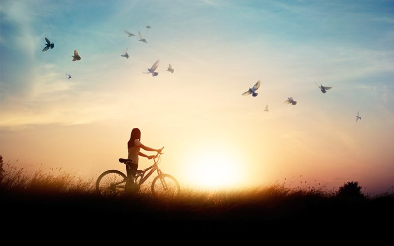 Lonely woman standing with bicycle on road of paddy field among flying birds and sunset background