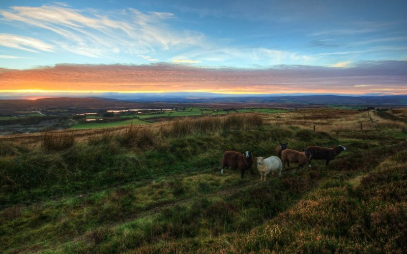 God-Rocks-Our-World in-Ireland