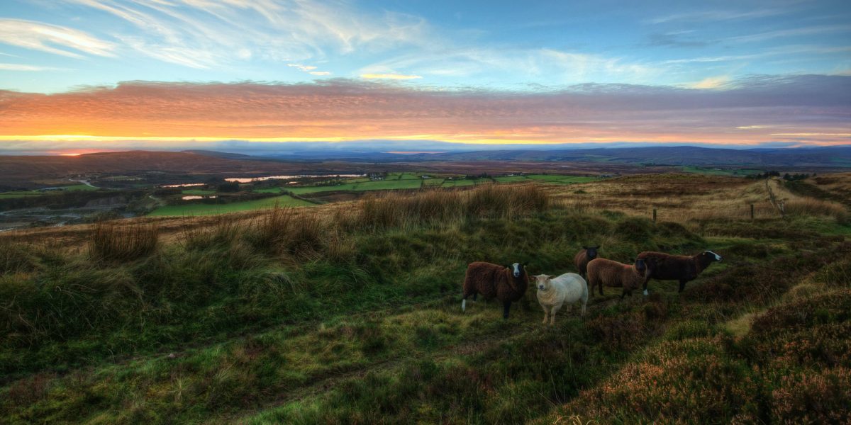 God-Rocks-Our-World in-Ireland