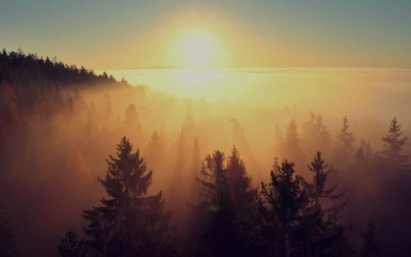 Ten Commandments of Marriage Ten Commandments of Marriage