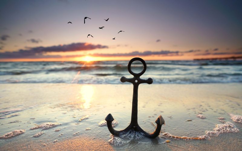 anchor at the beach with sunset light with flying birds on the sky