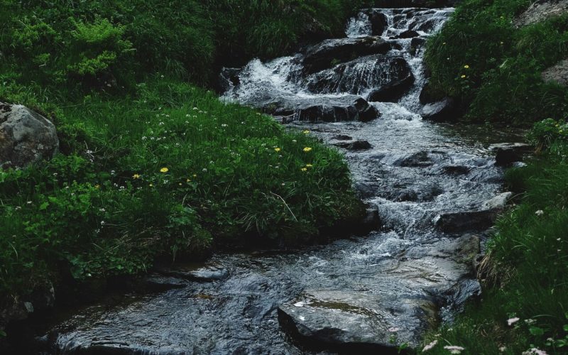 oleksandra-bardash-9fqMbeny89c-unsplash
