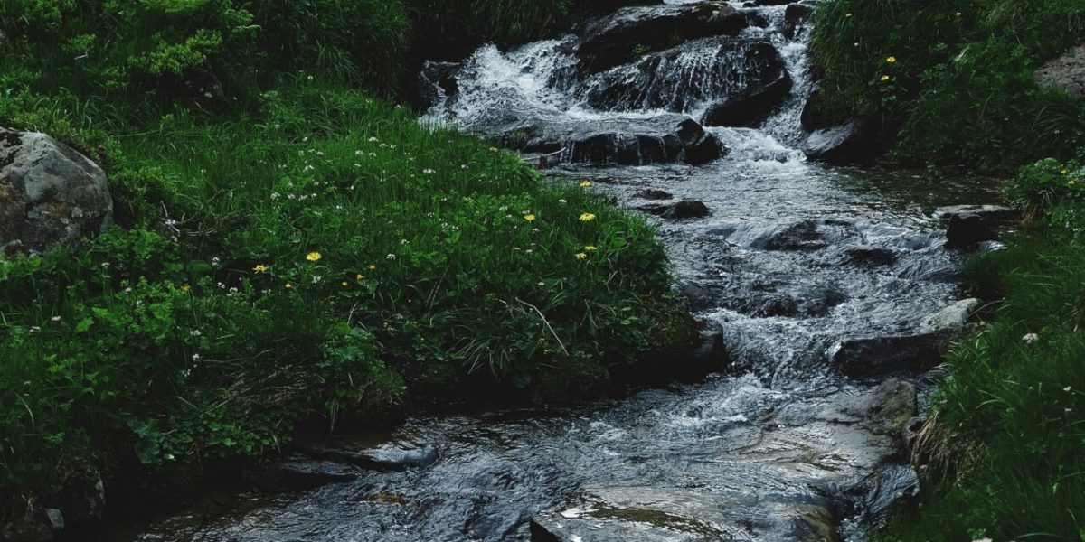 oleksandra-bardash-9fqMbeny89c-unsplash