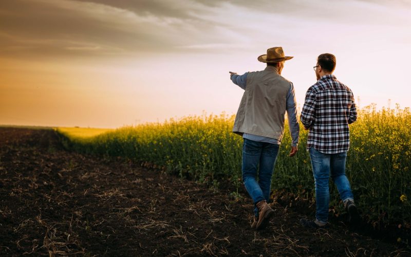 Two farmers walking on a farmland at unset and talking.